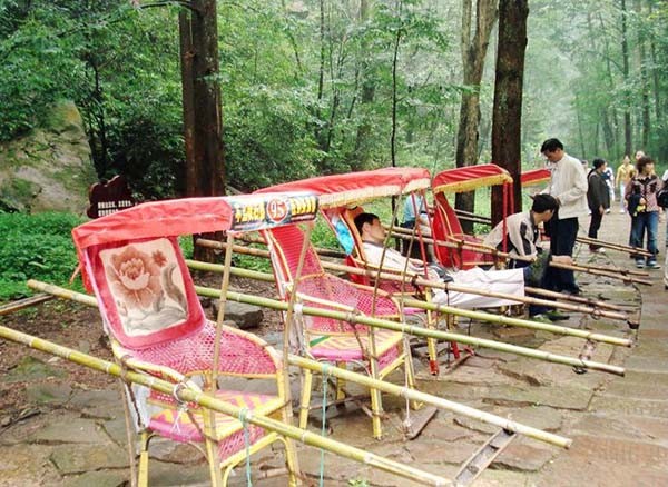 狗坐轿子合适吗网友有被冒犯到人活得不如狗