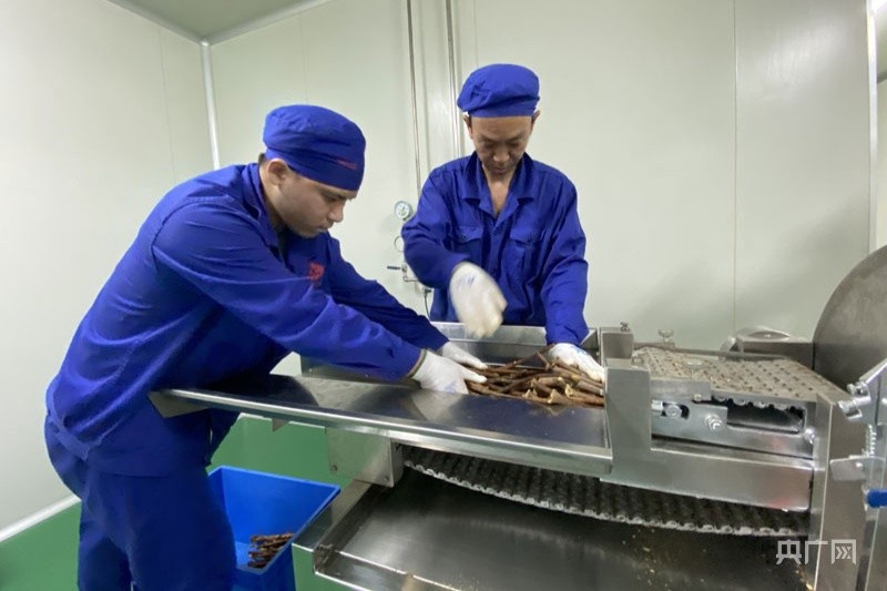 饮片炮制加工