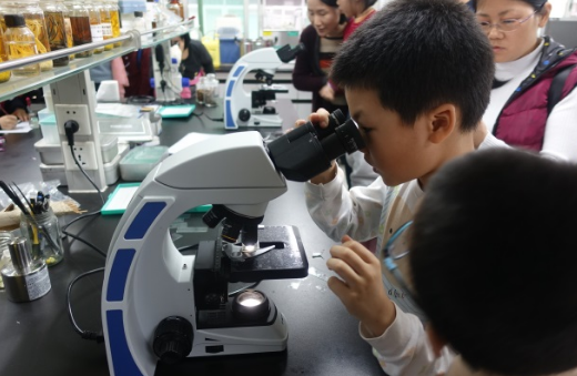 vr空间体验显微镜观察最强大脑解密这个科普小镇藏身广州闹市