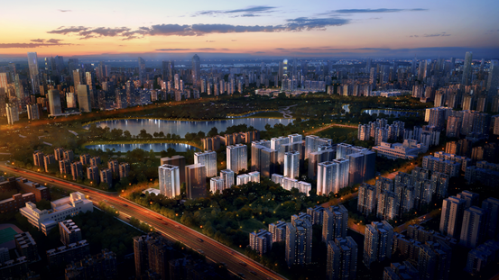 西派金沙再取证西派系究竟有多大胆