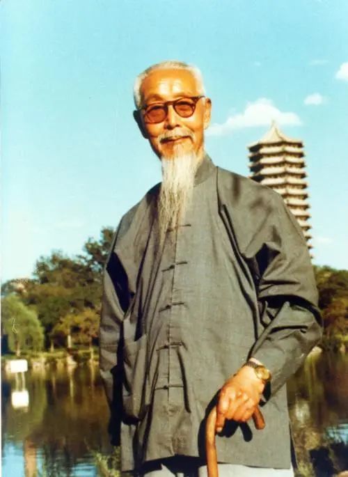 太极泰斗吴图南解读松与沉一语惊人