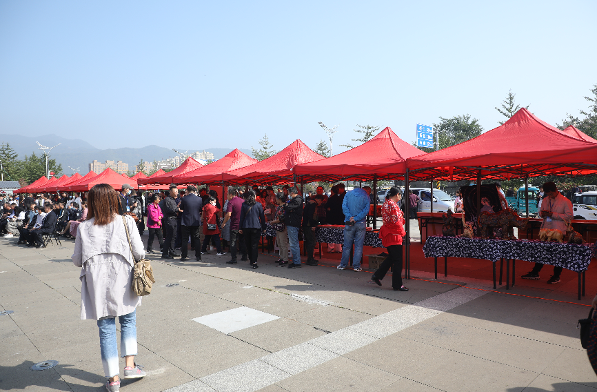 2021宽甸第二届旅游后备箱商品展销会暨宽甸首届奇石大会正式启动
