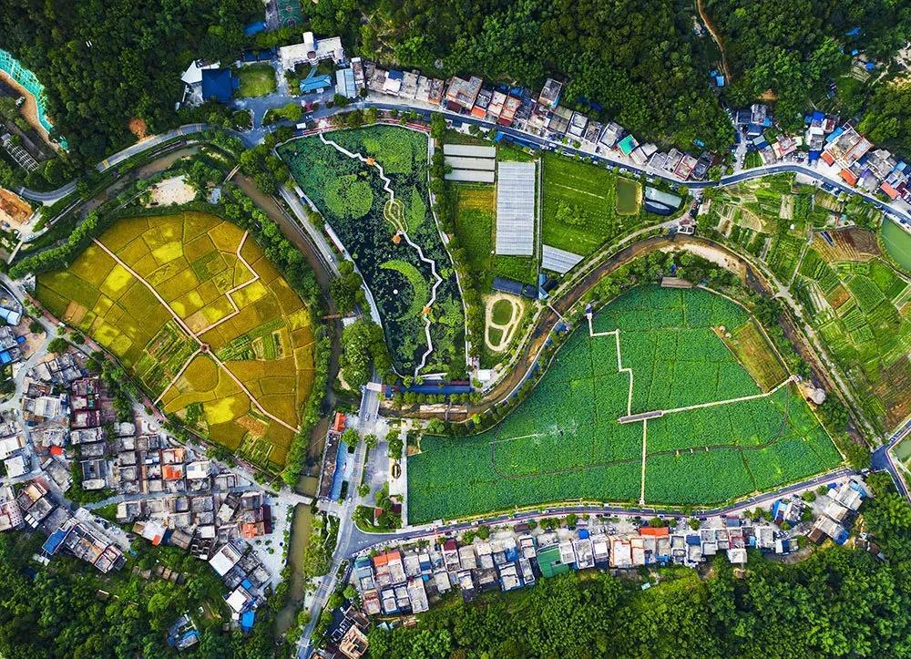 国庆假期感受乡村之美广州红山村举行乡村艺术摄影展