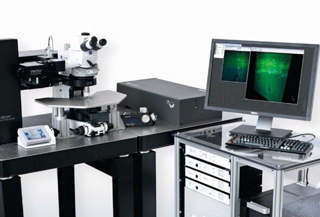 活体成像-双光子显微镜,重用它的原因,从4大优势可以明白