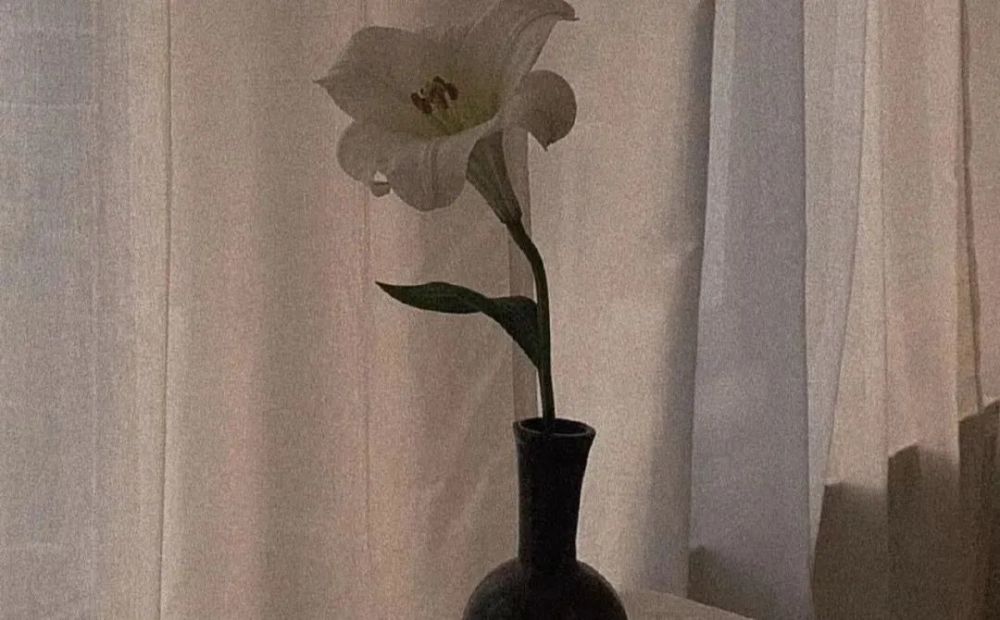 "微信新功能:我知道你有多少朋友"_腾讯新闻