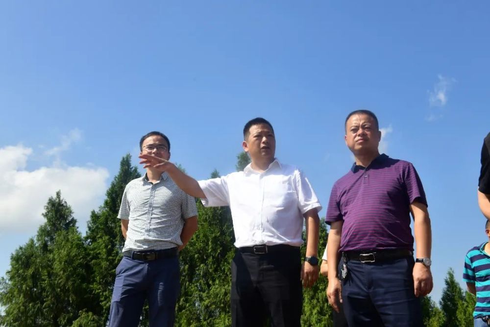 蓬安县人民检察院党组书记代理检察长王能钊到银汉镇调研指导乡村振兴