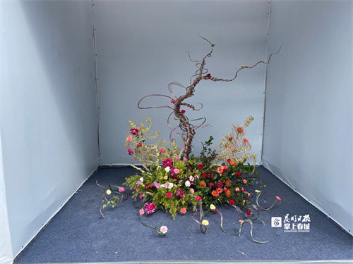 中国花艺排行_不可错过的视觉盛宴!中国春城插花花艺设计大赛作品在这里展出