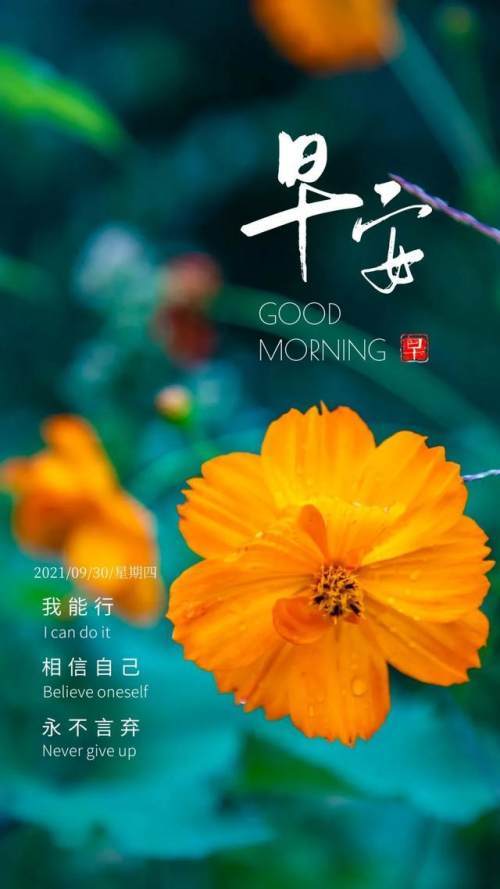 早安问候:任何一件事,只要心甘情愿,总是能够变得简单,早安
