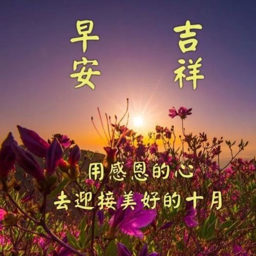 金秋十月早晨问候语图片早上好图片大全