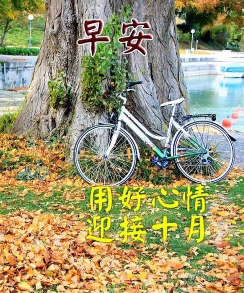 金秋十月早晨问候语图片早上好图片大全