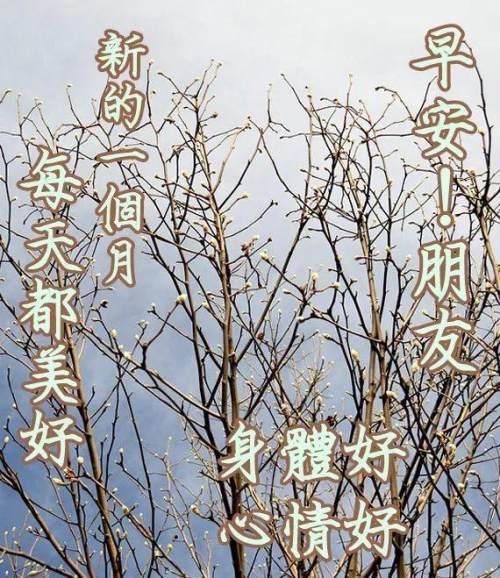 秋韵花香蝴蝶忙,叶黄果熟遍地香,金秋收获秋景靓,四季到秋好时光,一夜