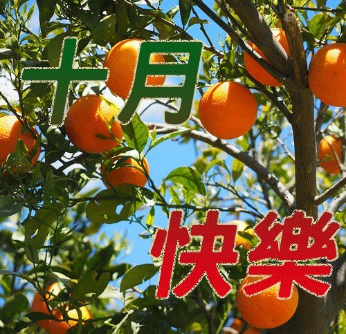 金秋十月早晨问候语图片早上好图片大全