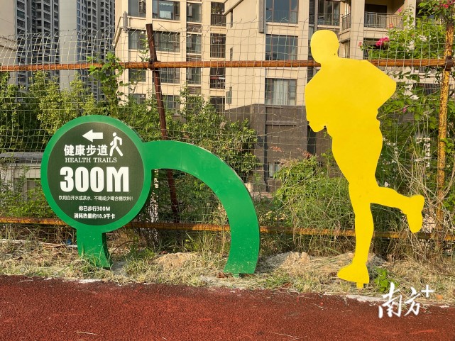 全省第二条无感智慧健身步道亮相湛江凭科技感实力圈粉