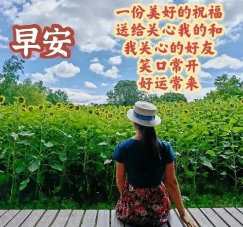 最唯美的早安圖片帶字漂亮好看的美女早上好問候語圖片