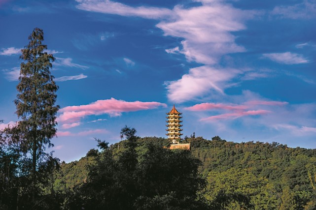 好山好水出美食国庆首游选大岗