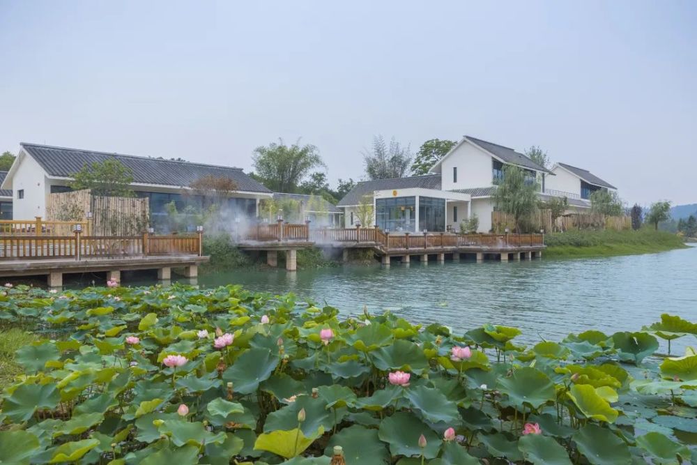 老码头,梨园雅舍那样的白墙灰瓦徽派建筑,川居雅地独坐窗前,檐挂水帘