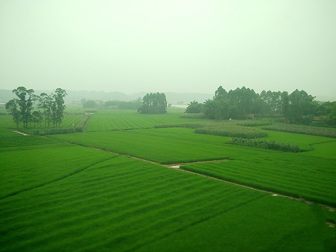 我国的五大平原分布在哪些地方