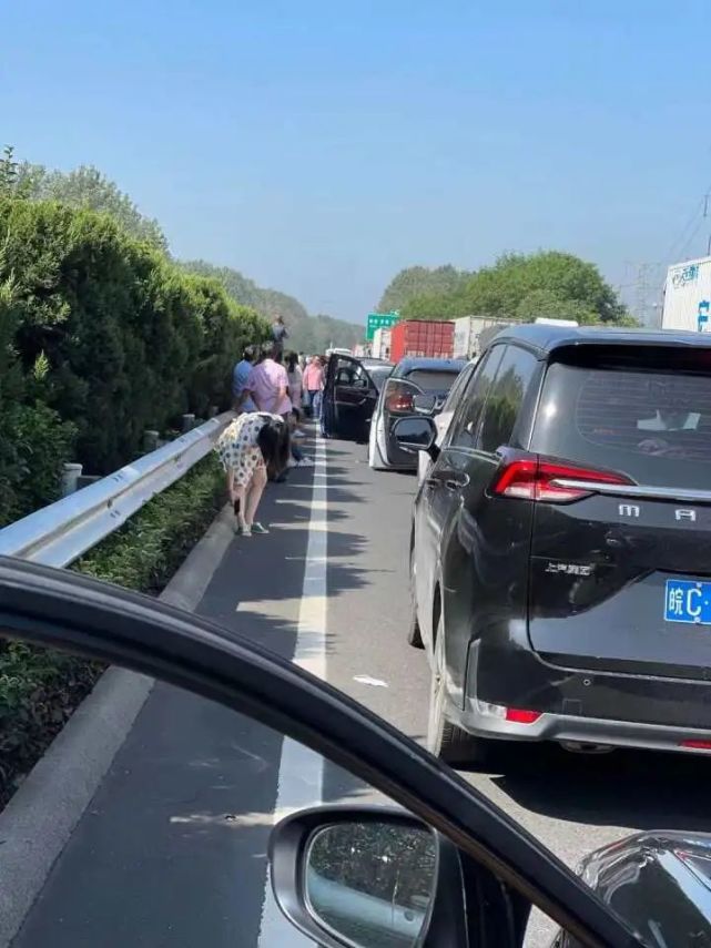 躲过出城大军杭州一家今早还是被堵高速都有人下车活动筋骨了