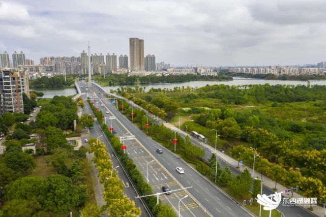 东西湖区|临空港大道|五环