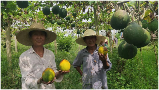 太白县有多少人口_藏在深山中的县城,人口仅5万,冬暖夏凉,住在这里的人似(2)