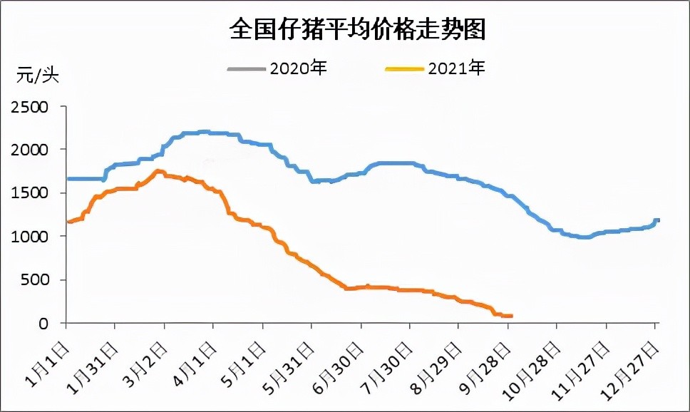 9月生猪市场都发生了哪些变化10月猪价市场行情走势如何