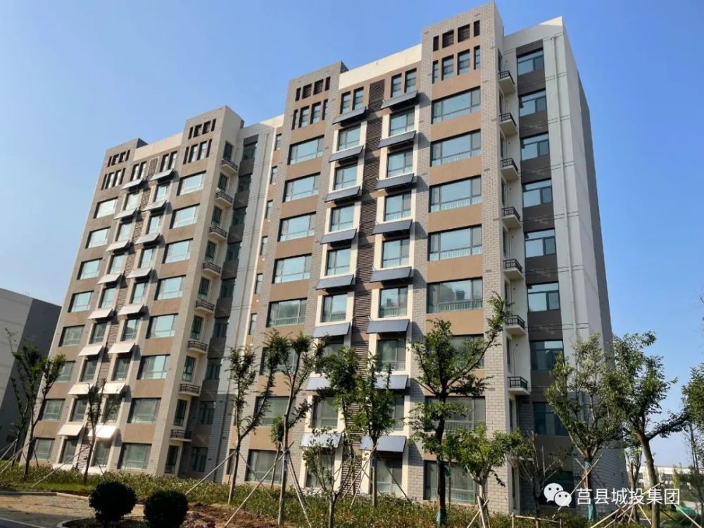 莒县网站建设软件(莒县网站建设软件公司)