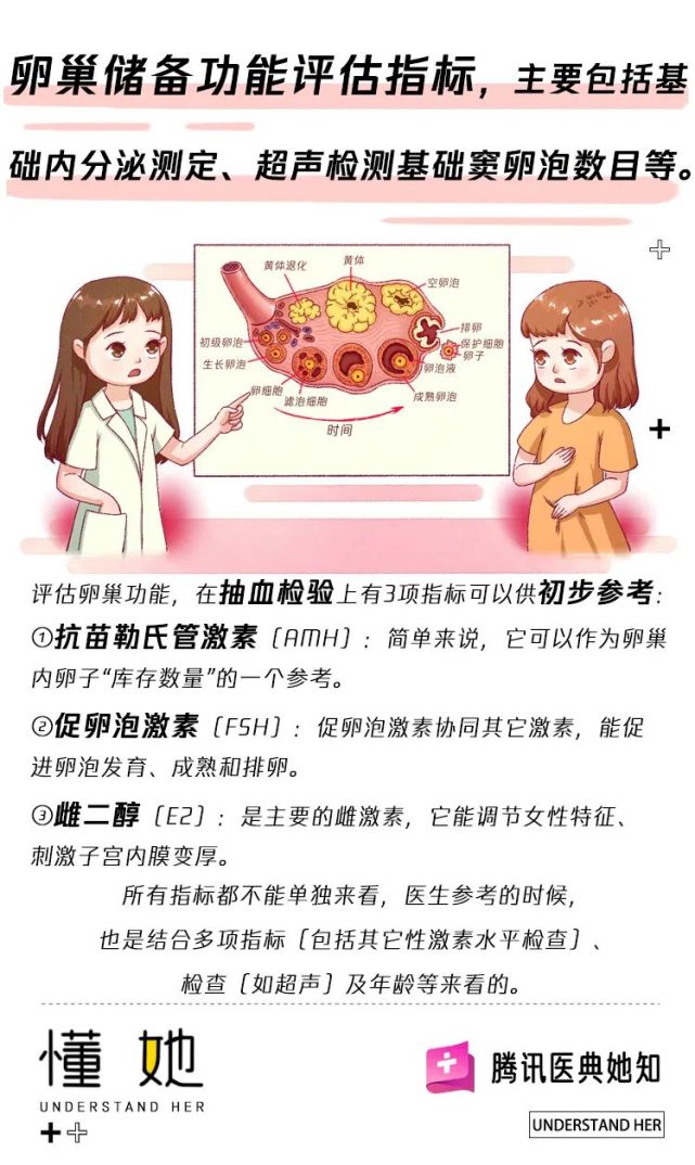 卵巢功能好不好,这3个指标很重要