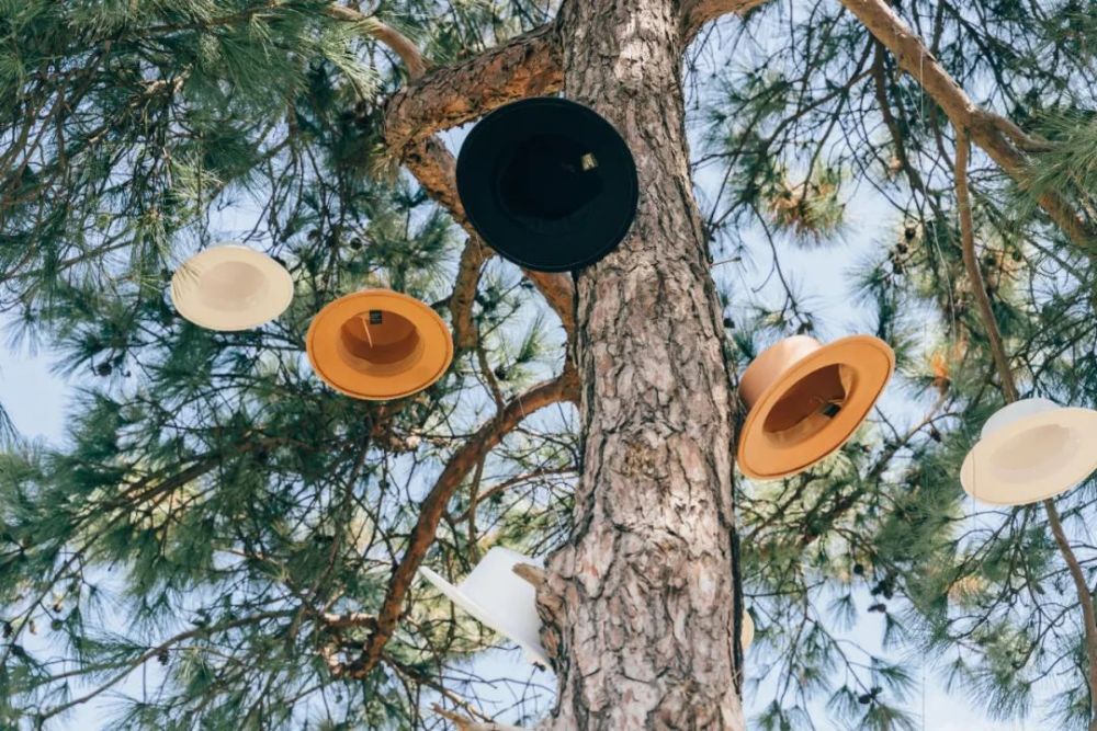 山花艺术节丨首日回顾17000名游客与阳光草地一起拥抱自然和艺术