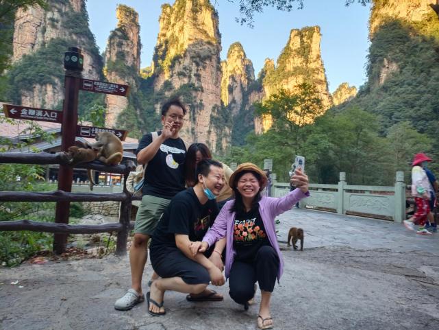共赏好风景武陵源猴哥好上镜游客照中占c位