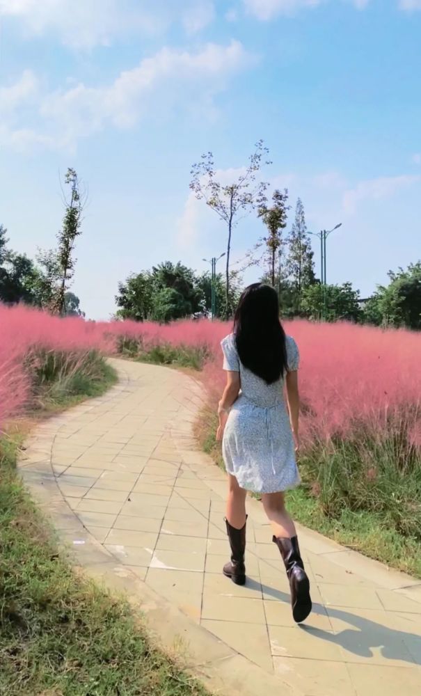 网红粉草来啦～快来眉山这个公园共赴一场粉色浪漫之约吧～(图7)
