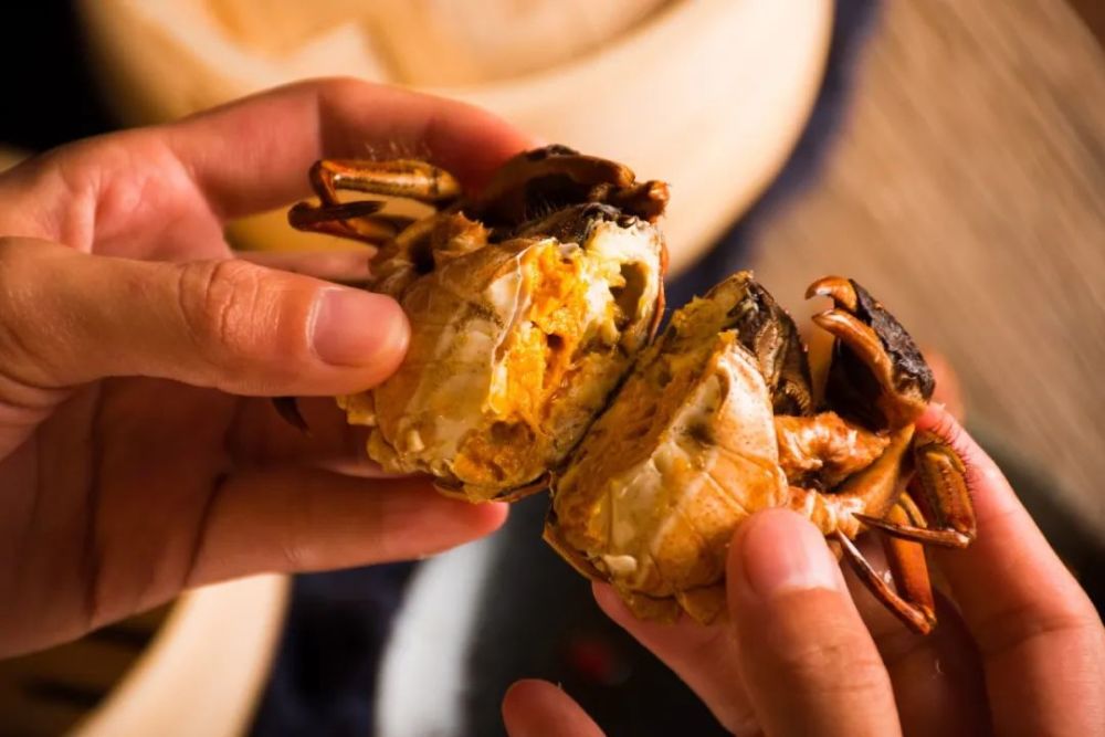 秋季,科学吃蟹法则!