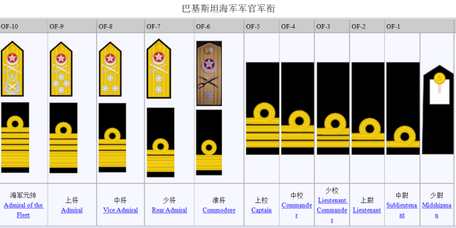 巴基斯坦军官在珠海体验中国轻武器,其军衔比较复杂,如何识别?