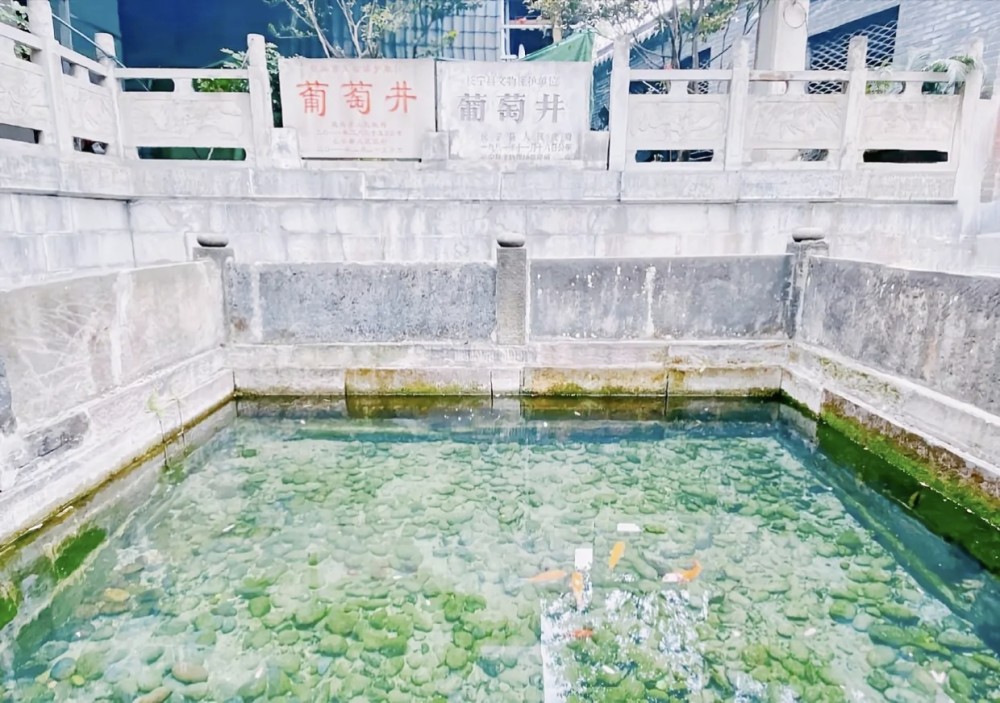 美味贵州的凉粉遍布大街小巷四川的葡萄井凉糕差点因地震消失