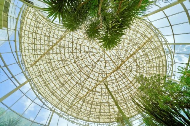 国庆来别样花境云台花园玻璃温室完成升级改造