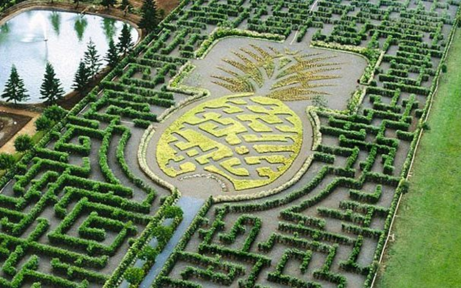 大屏嶂植物迷宫平面图图片