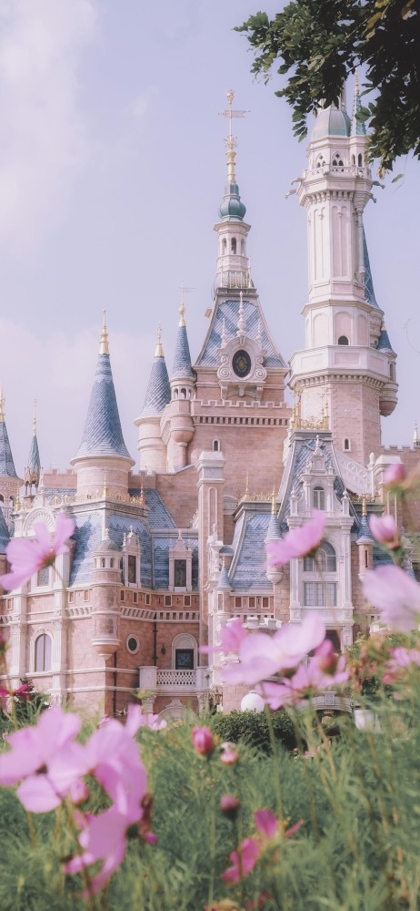 全面屏高清壁纸城堡的浪漫是一直想念