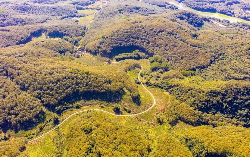 推荐景点:百花岭风景区,黎母山森林公园等.