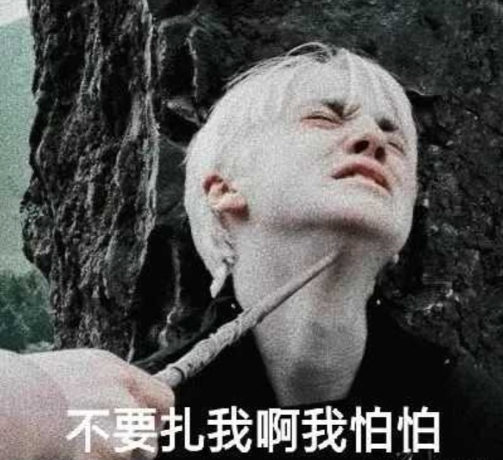 你们要的哈利波特系列表情包来啦