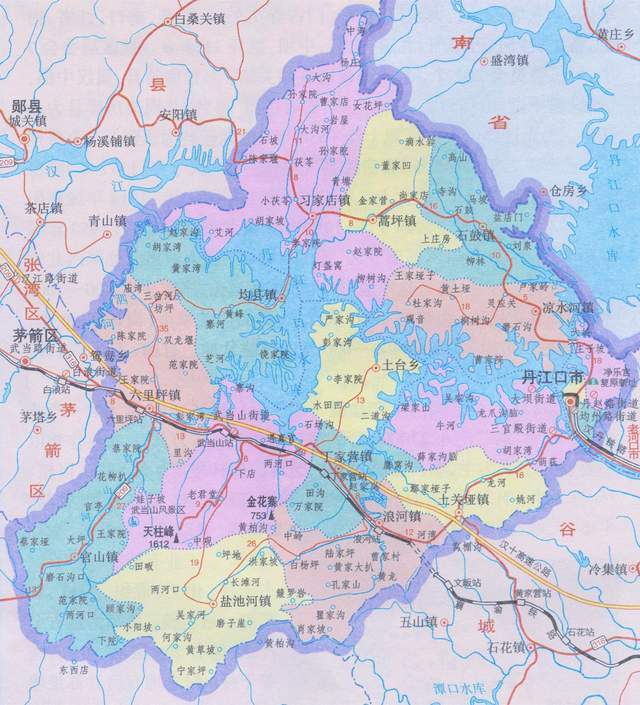 罕见湖北丹江口首次发现神秘大甲虫曾一度被我国宣布已经灭绝