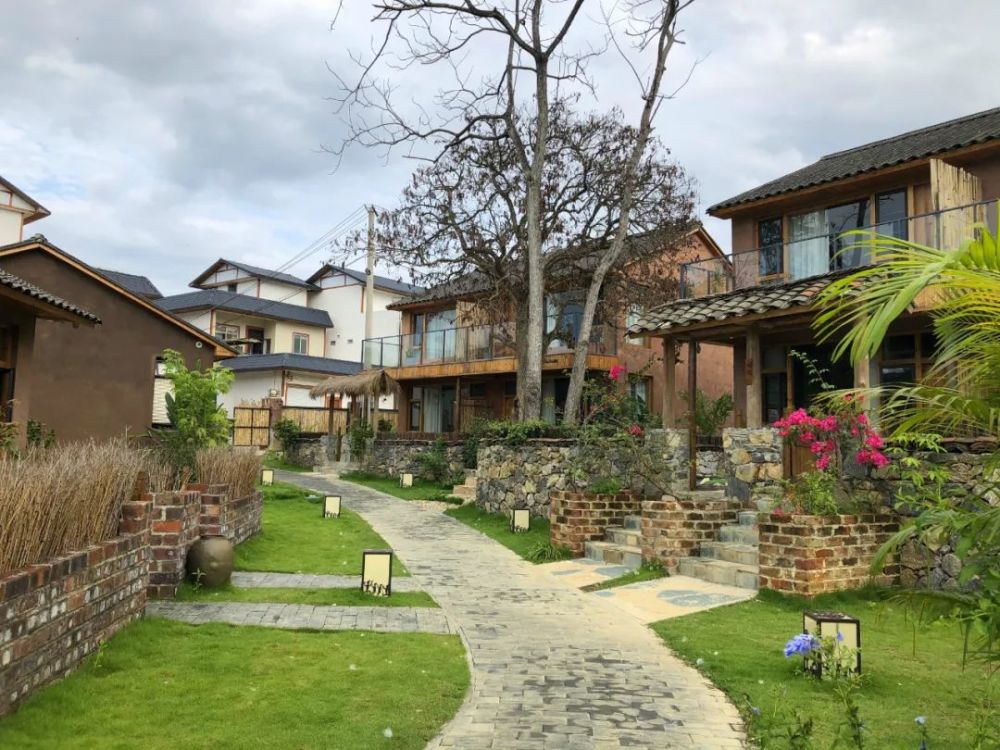 主播带你游崇左天容水色走入山水秘境新和卜花