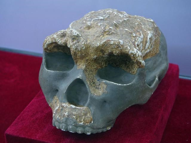 蓝田猿人遗址:为什么说人类历史从这里开始?