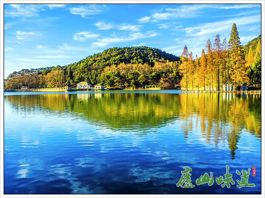 庐山景区秋山如醉庐山芦林湖畔枫林染秋颜