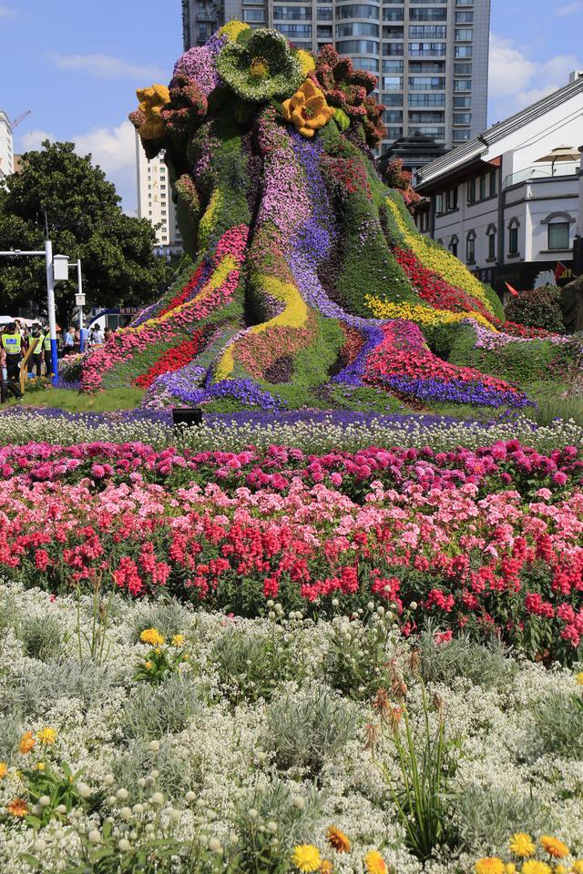 昆明金碧广场的花仙子引发的观看热潮