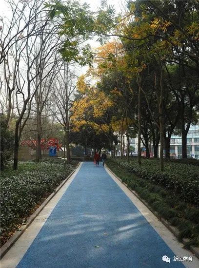 申动丨欢度国庆最美步道三重奏