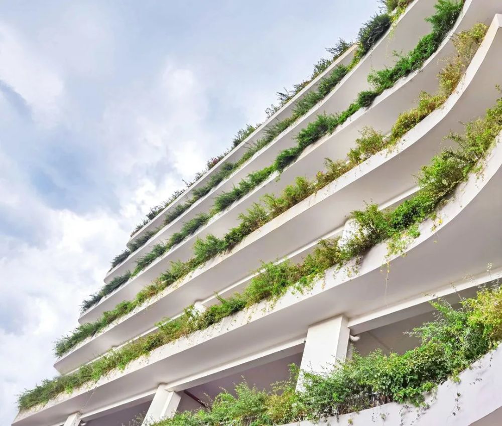 童年在立体花园中野蛮生长玉溪高新小学