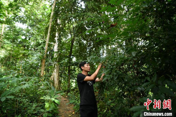 科普作家刘光裕:让科普为公众打开生物多样性保护之门_腾讯新闻