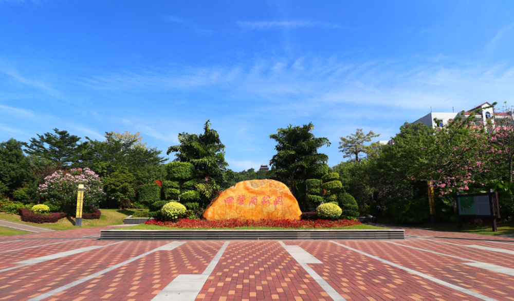 增城自带美颜滤镜的公园等你来打卡