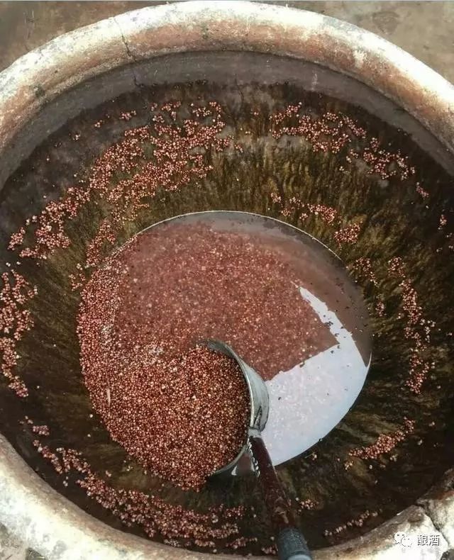 农家自酿高粱酒味道纯正还不上头