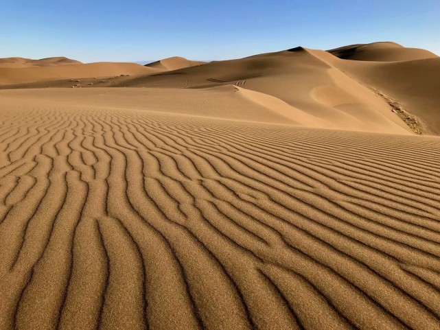 我国第二大沙漠景观内有固定和半固定的沙丘