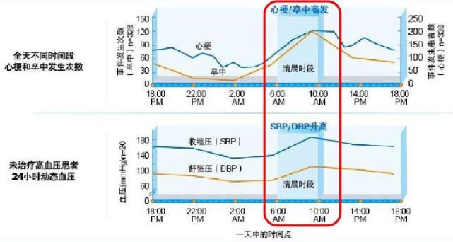 血压全天变化曲线图图片